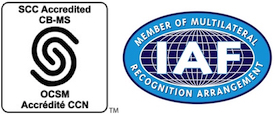 SCC-IAF